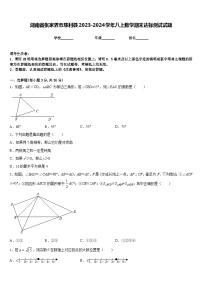 湖南省张家界市慈利县2023-2024学年八上数学期末达标测试试题含答案