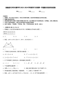 湖南省长沙市长雅中学2023-2024学年数学八年级第一学期期末质量检测试题含答案