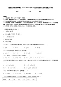 湖南省株洲市荷塘区2023-2024学年八上数学期末达标检测模拟试题含答案