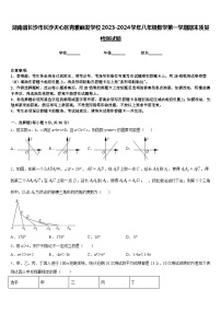 湖南省长沙市长沙天心区青雅丽发学校2023-2024学年八年级数学第一学期期末质量检测试题含答案