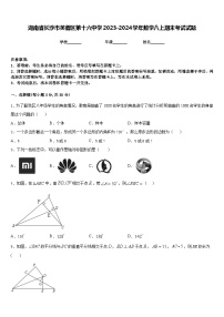 湖南省长沙市芙蓉区第十六中学2023-2024学年数学八上期末考试试题含答案