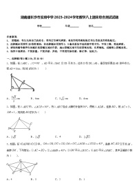 湖南省长沙市实验中学2023-2024学年数学八上期末综合测试试题含答案