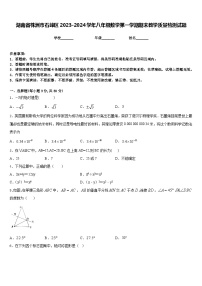 湖南省株洲市石峰区2023-2024学年八年级数学第一学期期末教学质量检测试题含答案