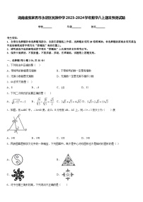 湖南省张家界市永定区民族中学2023-2024学年数学八上期末预测试题含答案