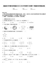 湖南省长沙市雅礼教育集团2023-2024学年数学八年级第一学期期末统考模拟试题含答案