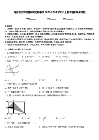 湖南省长沙市田家炳实验中学2023-2024学年八上数学期末联考试题含答案