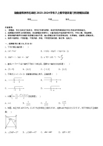 湖南省株洲市石峰区2023-2024学年八上数学期末复习检测模拟试题含答案