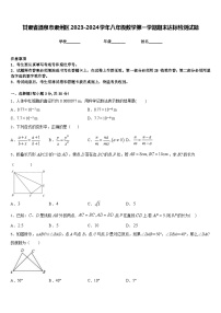 甘肃省酒泉市肃州区2023-2024学年八年级数学第一学期期末达标检测试题含答案