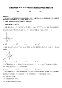 甘肃省陇南市2023-2024学年数学八上期末质量跟踪监视模拟试题含答案