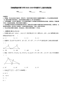 甘肃省陇南市第八中学2023-2024学年数学八上期末经典试题含答案