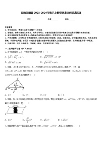 湖南邵阳县2023-2024学年八上数学期末综合测试试题含答案