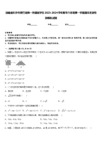 湖南省长沙市青竹湖湘一外国语学校2023-2024学年数学八年级第一学期期末质量检测模拟试题含答案