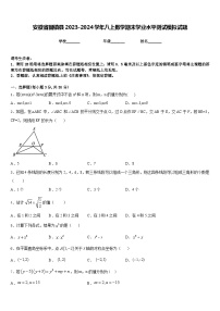 安徽省固镇县2023-2024学年八上数学期末学业水平测试模拟试题含答案