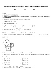 湖南省长沙广益中学2023-2024学年数学八年级第一学期期末学业质量监测试题含答案