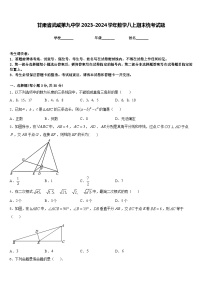 甘肃省武威第九中学2023-2024学年数学八上期末统考试题含答案