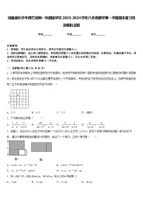 湖南省长沙市青竹湖湘一外国语学校2023-2024学年八年级数学第一学期期末复习检测模拟试题含答案