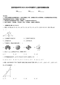 玉树市重点中学2023-2024学年数学八上期末检测模拟试题含答案