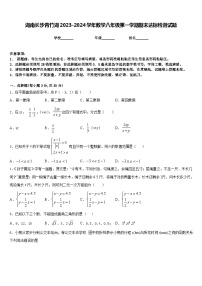 湖南长沙青竹湖2023-2024学年数学八年级第一学期期末达标检测试题含答案