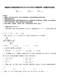 湖南省长沙市雨花区雅礼中学2023-2024学年八年级数学第一学期期末考试试题含答案