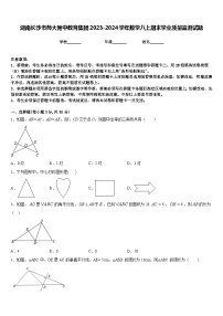 湖南长沙市师大附中教育集团2023-2024学年数学八上期末学业质量监测试题含答案