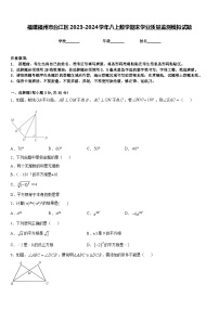 福建福州市台江区2023-2024学年八上数学期末学业质量监测模拟试题含答案