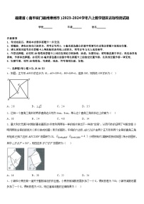 福建省（南平厦门福州漳州市）2023-2024学年八上数学期末达标检测试题含答案