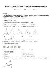 福建省（三元县2023-2024学年八年级数学第一学期期末质量跟踪监视试题含答案