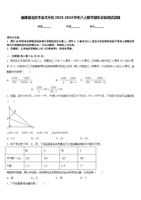 福建省龙岩市金丰片区2023-2024学年八上数学期末达标测试试题含答案