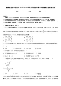 福建省龙岩市永定县2023-2024学年八年级数学第一学期期末达标检测试题含答案