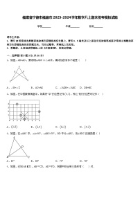 福建省宁德市福鼎市2023-2024学年数学八上期末统考模拟试题含答案