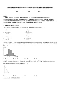 福建省莆田市哲理中学2023-2024学年数学八上期末达标检测模拟试题含答案