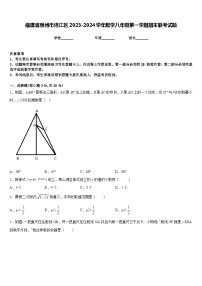 福建省泉州市洛江区2023-2024学年数学八年级第一学期期末联考试题含答案