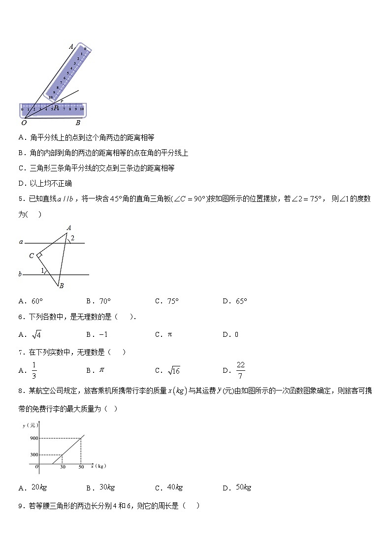 福建省泉州市洛江区2023-2024学年数学八年级第一学期期末联考试题含答案第2页