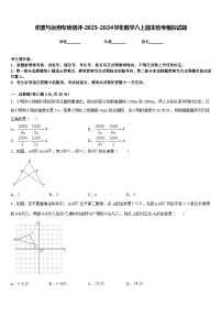 积累与运用专项测评-2023-2024学年数学八上期末统考模拟试题含答案