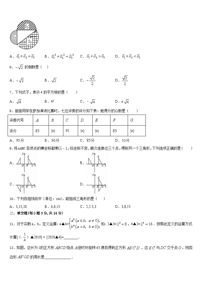 西藏拉萨市北京实验中学2023-2024学年八年级数学第一学期期末调研试题含答案02