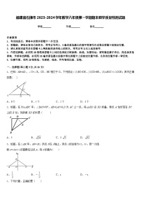 福建省石狮市2023-2024学年数学八年级第一学期期末教学质量检测试题含答案