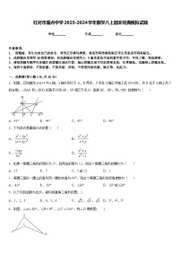 红河市重点中学2023-2024学年数学八上期末经典模拟试题含答案