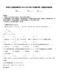 苏州市工业园区斜塘学校2023-2024学年八年级数学第一学期期末经典试题含答案