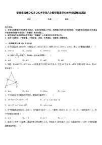 安徽省宿州2023-2024学年八上数学期末学业水平测试模拟试题含答案