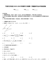 宁夏中卫市名校2023-2024学年数学八年级第一学期期末学业水平测试试题含答案