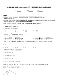 安徽省淮南市西部2023-2024学年八上数学期末学业水平测试模拟试题含答案