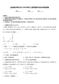 山东省东平县2023-2024学年八上数学期末学业水平测试试题含答案