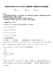 山东省济宁院附中2023-2024学年八年级数学第一学期期末学业水平测试试题含答案