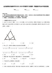 山东省青岛市温泉中学2023-2024学年数学八年级第一学期期末学业水平测试试题含答案