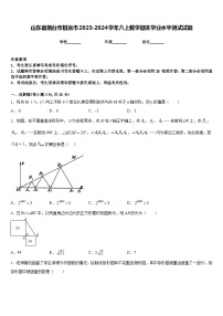 山东省烟台市招远市2023-2024学年八上数学期末学业水平测试试题含答案