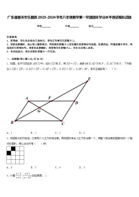 广东省韶关市乐昌县2023-2024学年八年级数学第一学期期末学业水平测试模拟试题含答案