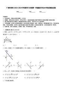 广西钦州市2023-2024学年数学八年级第一学期期末学业水平测试模拟试题含答案