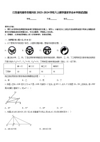 江苏省句容市华阳片区2023-2024学年八上数学期末学业水平测试试题含答案