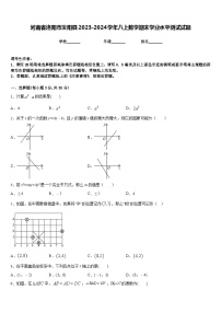 河南省洛阳市汝阳县2023-2024学年八上数学期末学业水平测试试题含答案