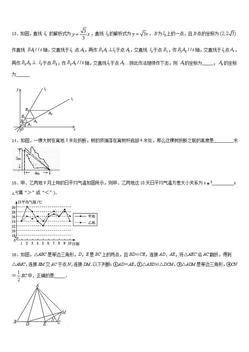 河南省洛阳市汝阳县2023-2024学年八上数学期末学业水平测试试题含答案03